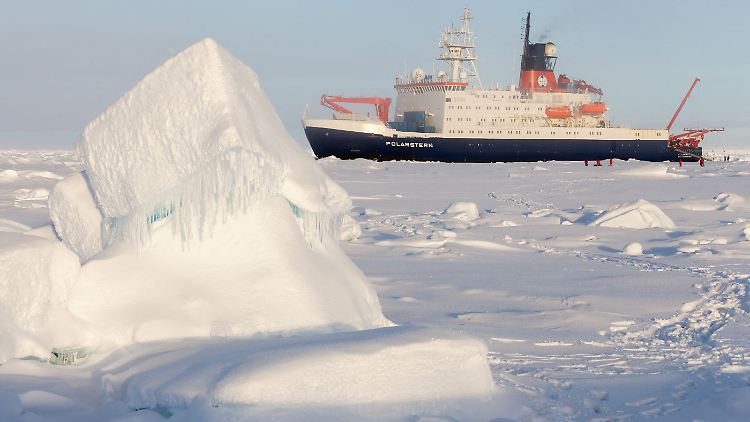 Nach dem Abbruch eines Eisbergs in der Ostantarktis haben Wissenschaftler des Eisbrechers "Polarstern" zahlreiche Tiere darunter entdeckt.