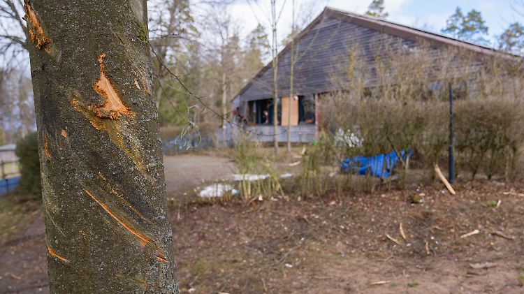 Das abgestürzte Flugzeug hinterließ eine Spur der Verwüstung auf dem Kindergarten-Gelände.