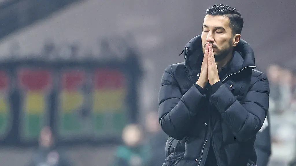 6db21e98e96c7886aab9d35dad25eeba