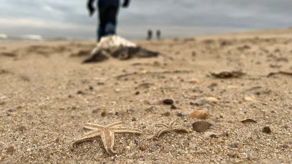 190b4582f62778af74382bcb85c1f49e