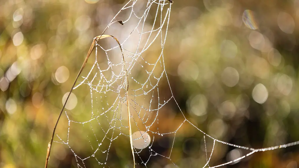 Das-Wochenende-bringt-in-Berlin-und-Brandenburg-Nebel-Glaette-aber-auch-Sonnenschein
