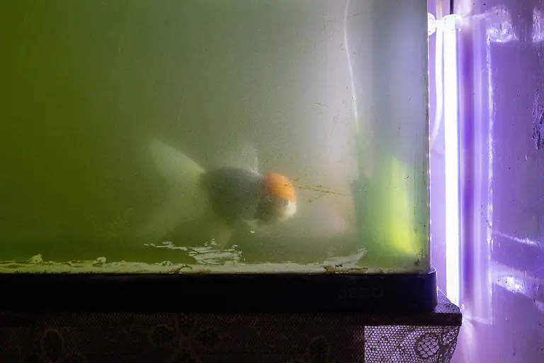 2025-01-06T230443Z-1079702752-RC22N8AAM69F-RTRMADP-3-HONGKONG-PROPERTY