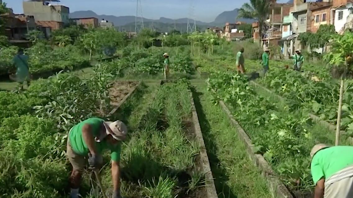 garten rio.png