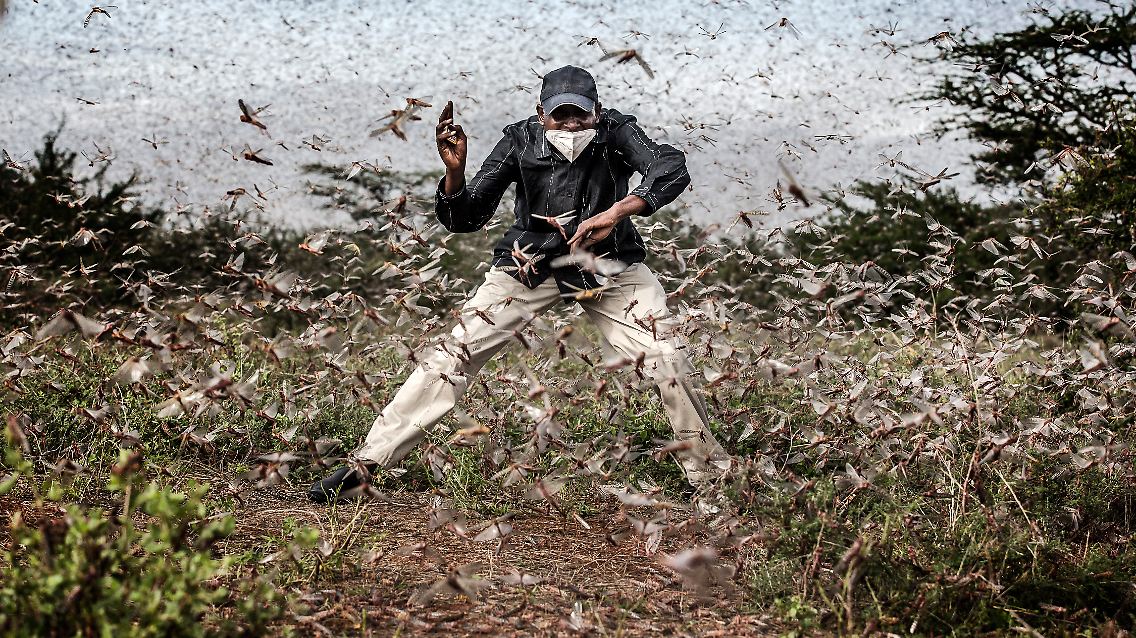 005_World Press Photo of the Year Nominee_Luis Tato_for The Washington Post.jpg