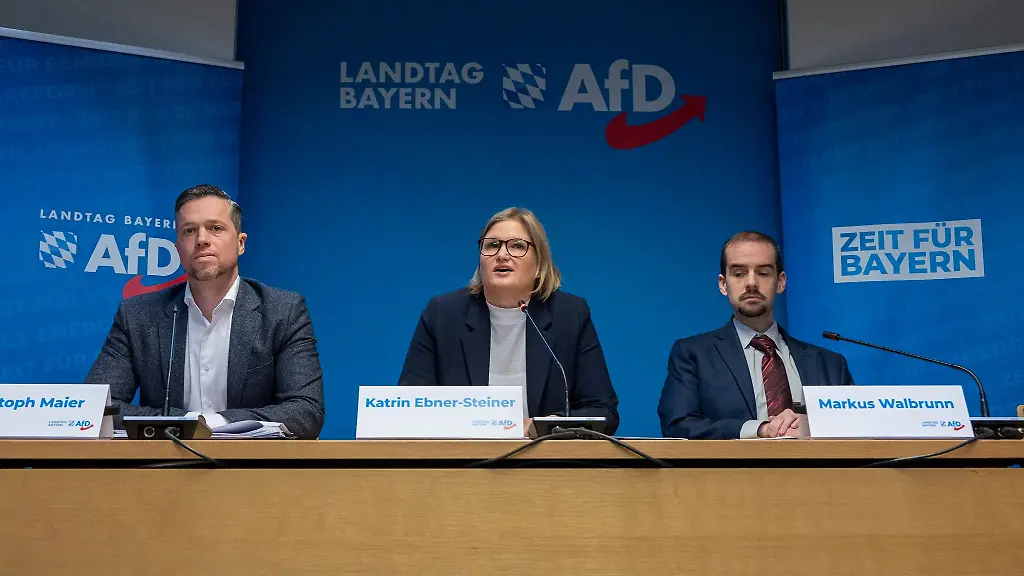 Die-AfD-zieht-mit-vielen-drastischen-Forderungen-in-den-Wahlkampf