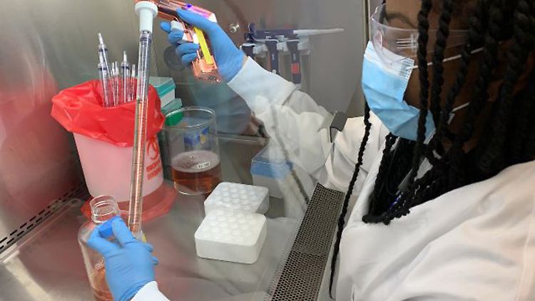 Das US-Unternehmen Regeneron entwickelte das Mittel aus zwei Antikörpern zur Behandlung von Covid-19.