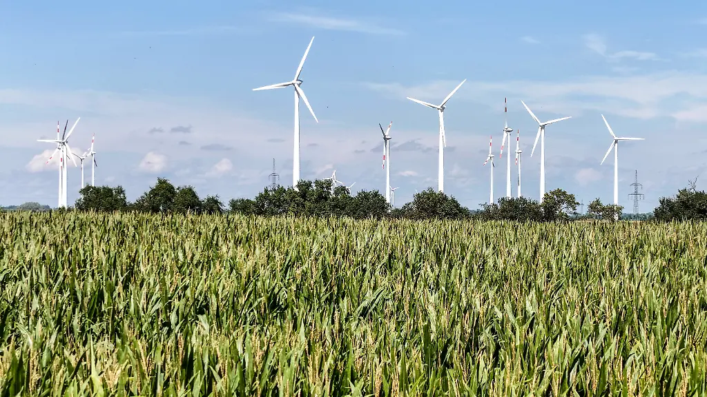 48877c55bae3c9c4cac9dbe01ae6ab2b