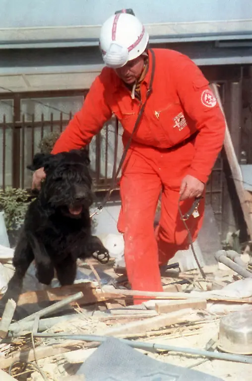 Hundefuehrer-aus-der-Schweiz