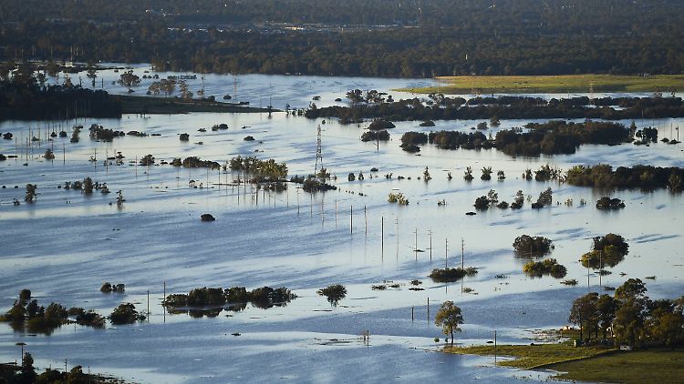 Tagelanger Starkregen hat im Südosten Australiens zu einem katastrophalen Hochwasser und der Evakuierung ganzer Ortschaften geführt - kann er auch die Mäusemassen aufhalten?.