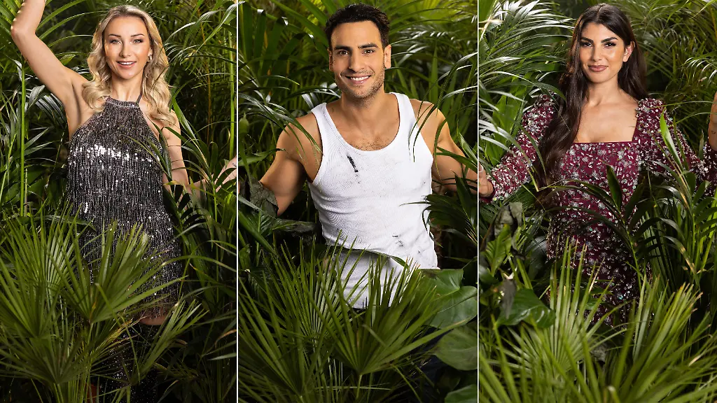 Wer-praesentiert-im-Dschungel-nackte-Tatsachen-Einige-Kandidaten-geben-Auskunft