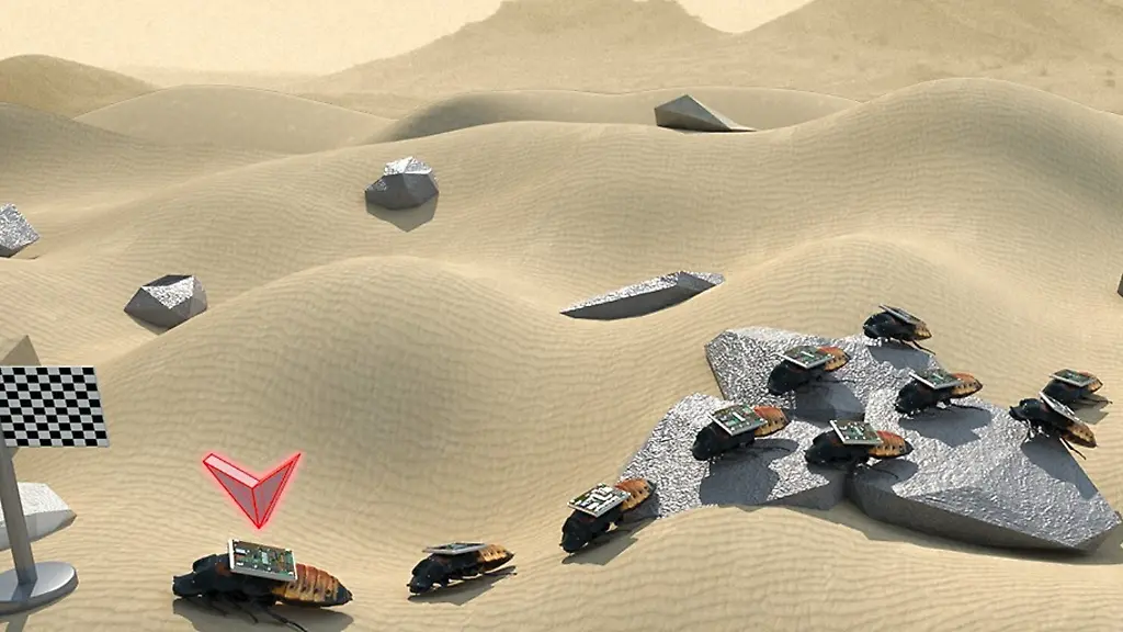 urn-binary-dpa-com-20090101-250113-99-569117-FILED