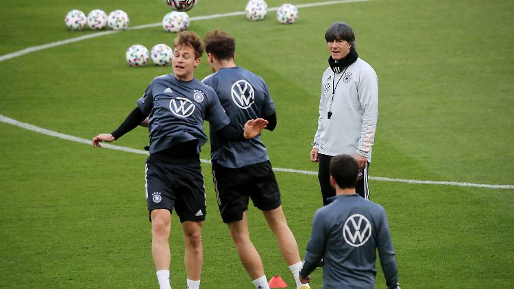 Die DFB-Profis "engagieren sich in Eigenperspektive", sagt Löw.