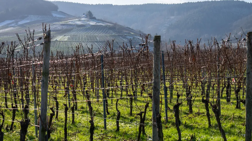 Gemeinden-sollen-das-Geld-aus-Tourismusabgaben-kuenftig-flexibler-ausgeben-koennen