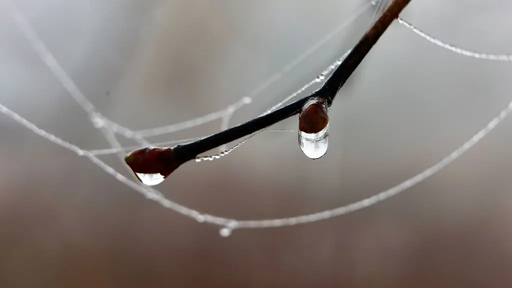 In-der-Nacht-auf-Dienstag-sind-in-Hessen-die-tiefsten-Temperaturen-des-bisherigen-Winters-gemessen-worden-Symbolbild