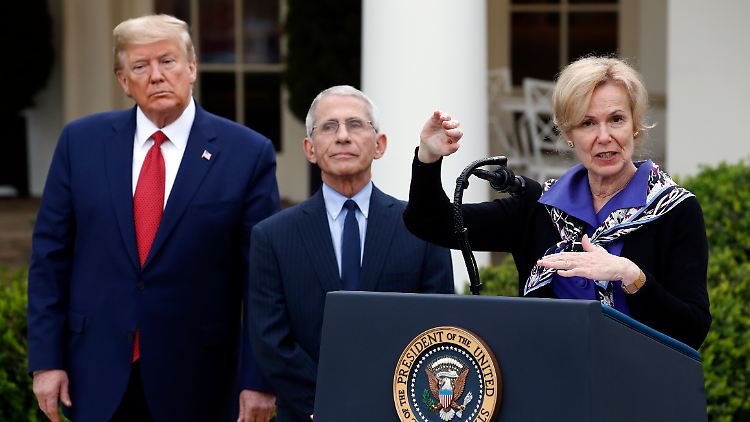 Anthony Fauci und Deborah Birx berieten Trump in der Corona-Krise.