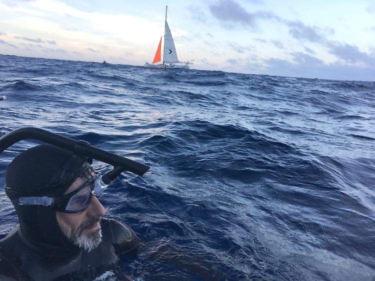 Extremschwimmer Lecomte am 1. August 2018 im Meer vor Japan.