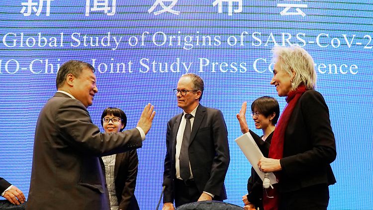 Eine Gruppe aus je 17 chinesischen und ausländischen Wissenschaftlern hat die Ursprünge des Coronavirus in Wuhan untersucht.  