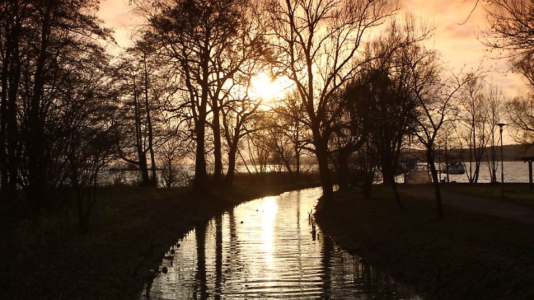 Die jungen Menschen hatten sich am Abend am Tollensesee versammelt.