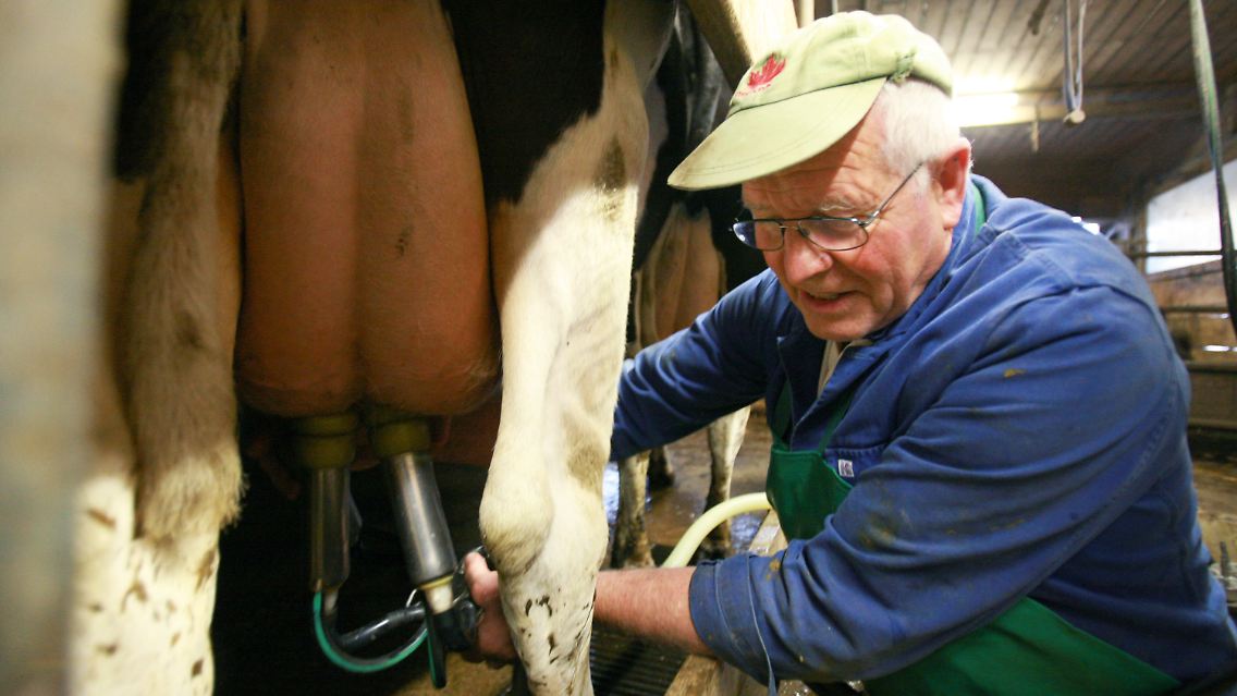 Die Lage für die Milchbauern hat sich verbessert.