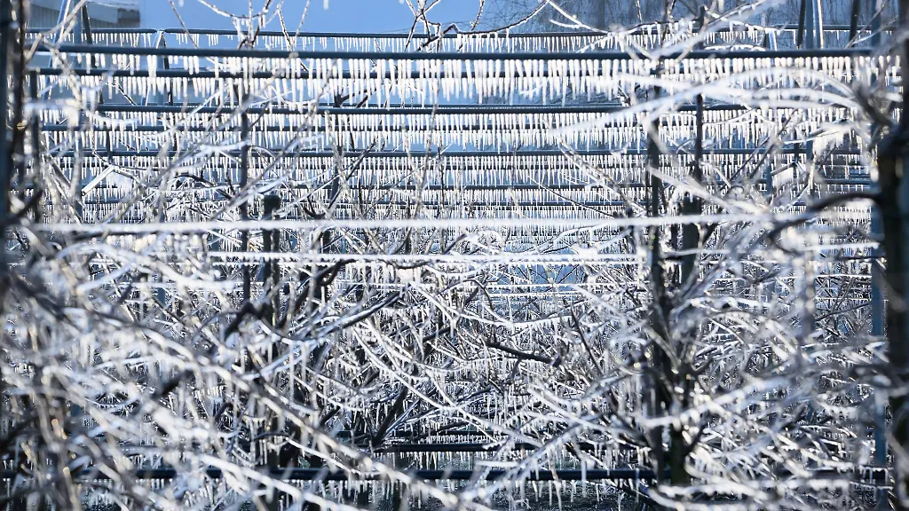 In-Niedersachsen-soll-es-Frost-geben