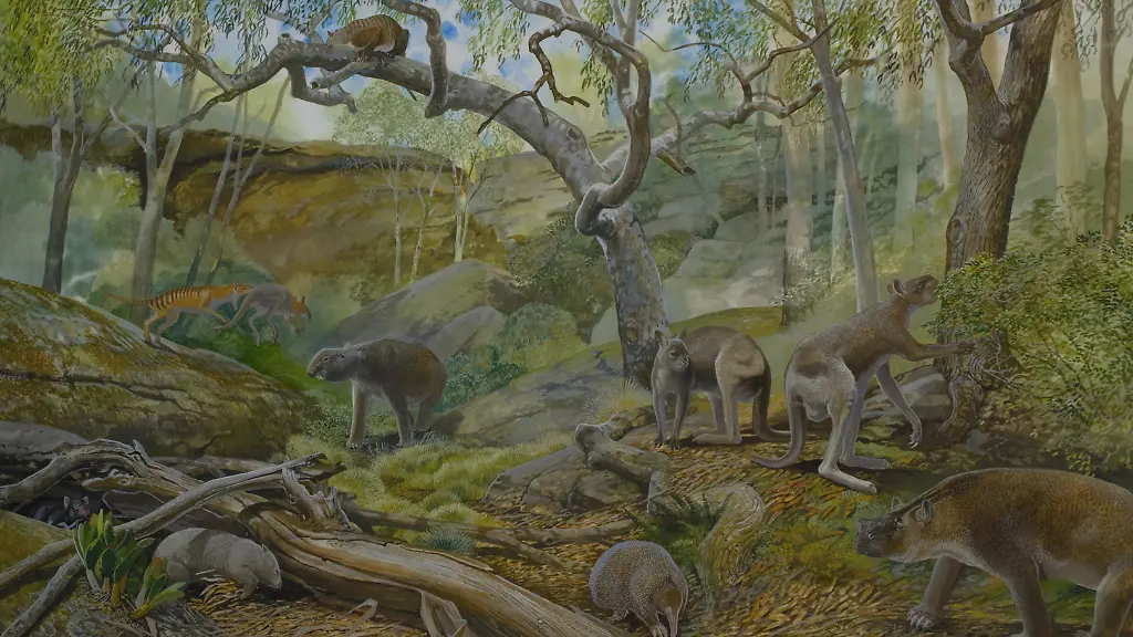 Kuenstlerische-Darstellung-wie-die-Flora-und-Fauna-der-Naracoorte-Hoehlen-im-Jungpleistozaen-ausgesehen-haben-koennte