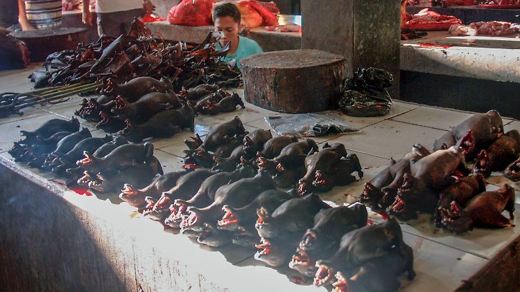 Gebratene Fledermäuse auf einem Markt in Indonesien: Die Tiere gelten als häufige Überträger von Viren auf Menschen.