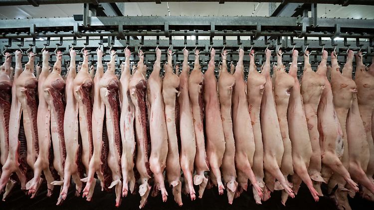 In der Fleischbranche sind Werkverträge seit 2021 verboten. Die Situation von Arbeitskräften hat sich seitdem teilweise verbessert. 