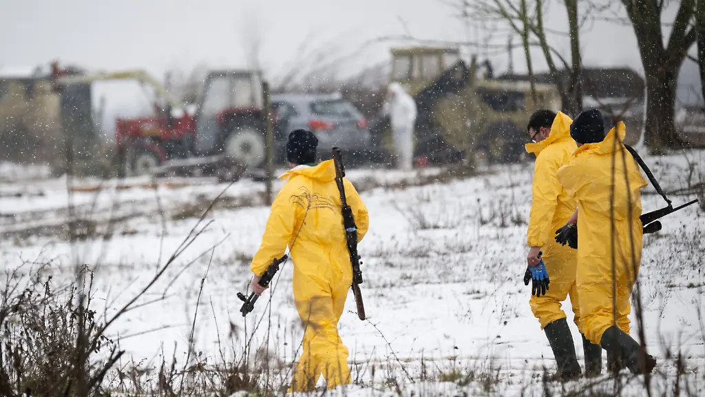 3cfcecd64541092876a5f67ffb93bf3b