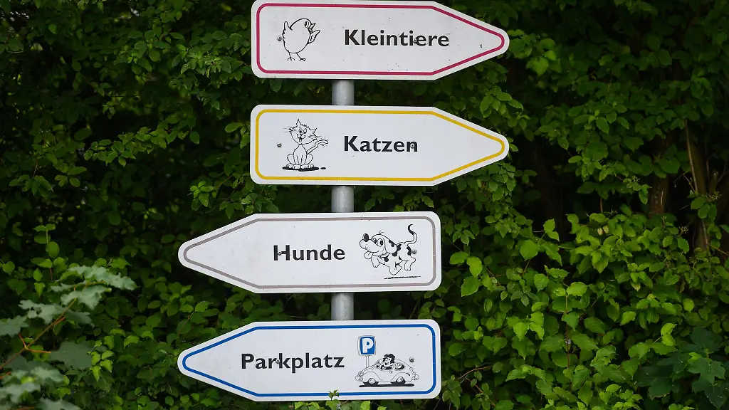 Aus-dem-Tierpark-Wismar-stahlen-Unbekannte-mehrere-Meerschweinchen-und-Kaninchen