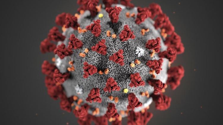 Escape-Varianten des Coronavirus können den Angaben nach entstehen, wenn sich das Virus in einer Bevölkerung mit unvollständigem Immunschutz ausbreitet.