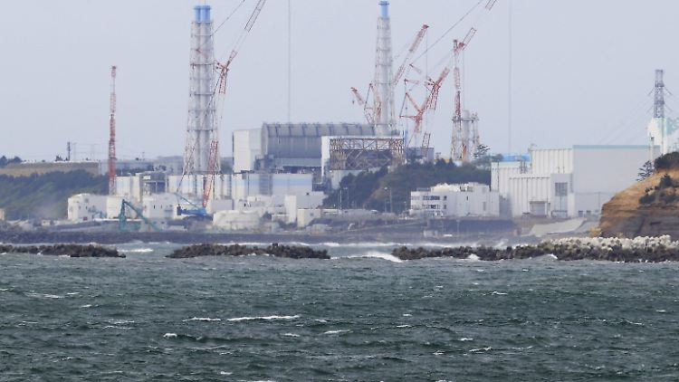 Das Atomkraftwerk Fukushima war kurz nach einem schweren Erdbeben am 11. März 2011 von einer fast 15 Meter hohen Tsunami-Wasserwand getroffen worden.
