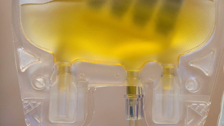 Die neutralisierenden Antikörper befinden sich im Blutplasma. 