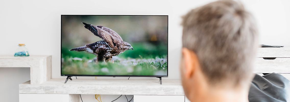 Fernseher.jpg