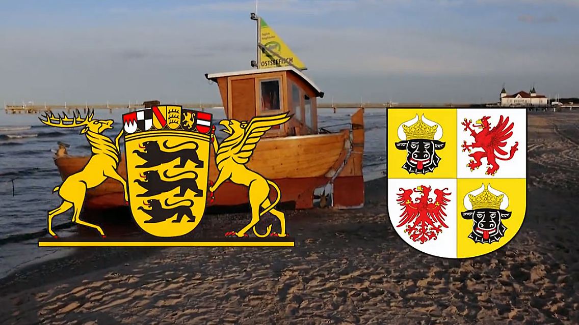 Unbenannt-1.jpg