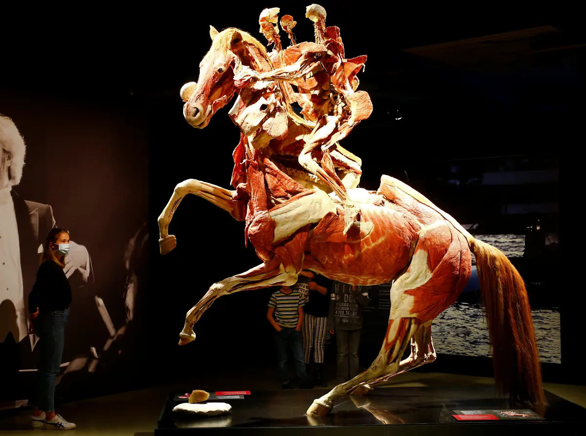 2021-05-07T123955Z-503607297-RC20BN9SR4FD-RTRMADP-3-SWISS-EXHIBITION-BODY