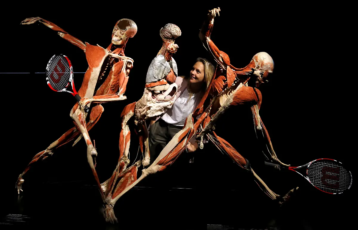 2018-10-04T000000Z-336627189-RC1DED19F190-RTRMADP-3-BRITAIN-BODYWORLDS