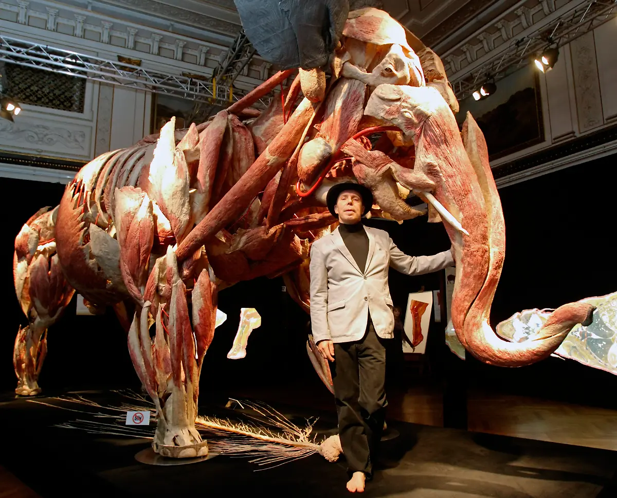 2010-11-16T120000Z-110304382-BM2E6BG114501-RTRMADP-3-AUSTRIA