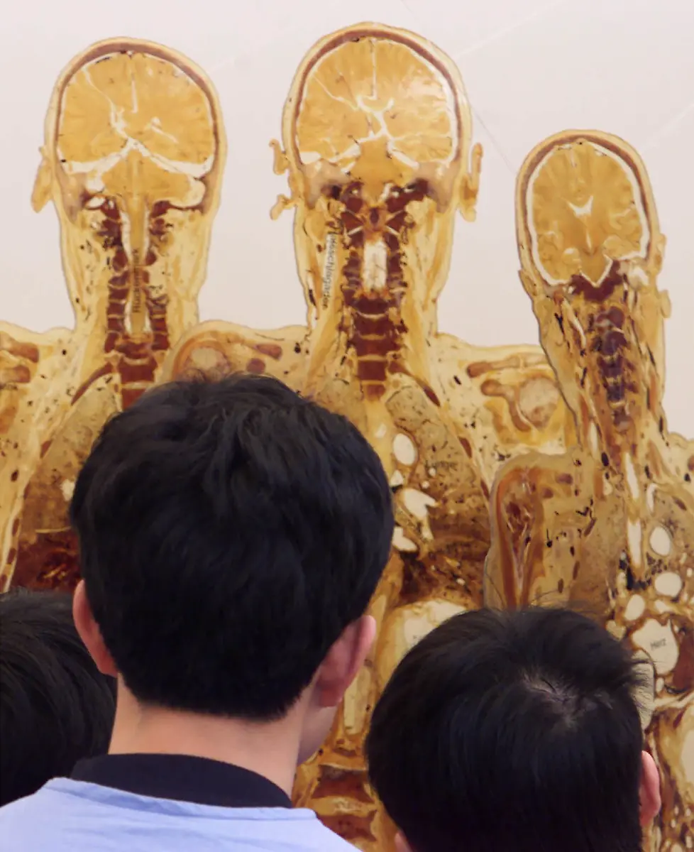 2000-02-11T000000Z-641204427-RP2DRHYDNQAC-RTRMADP-3-GERMANY-EXHIBITION