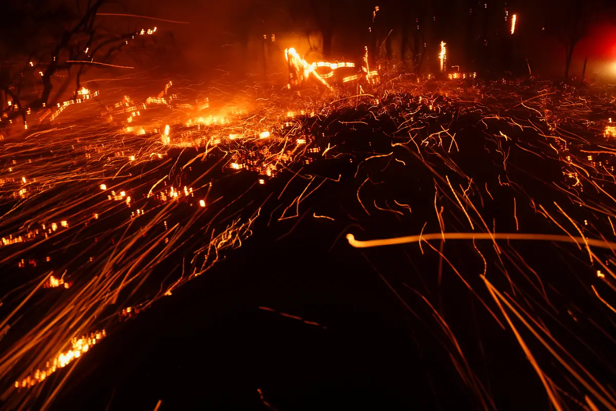 eae1b7671815383cfef2d252b7ae3b3d