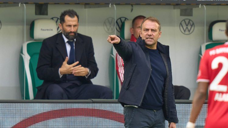 Hansi Flick und Hasan Salihamidžić müssen sich wohl nicht länger aneinander abarbeiten.