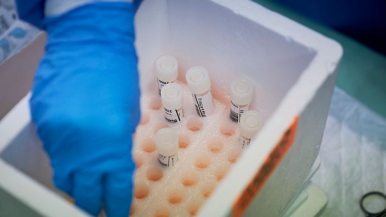 Den Probanden wird das Coronavirus verabreicht.