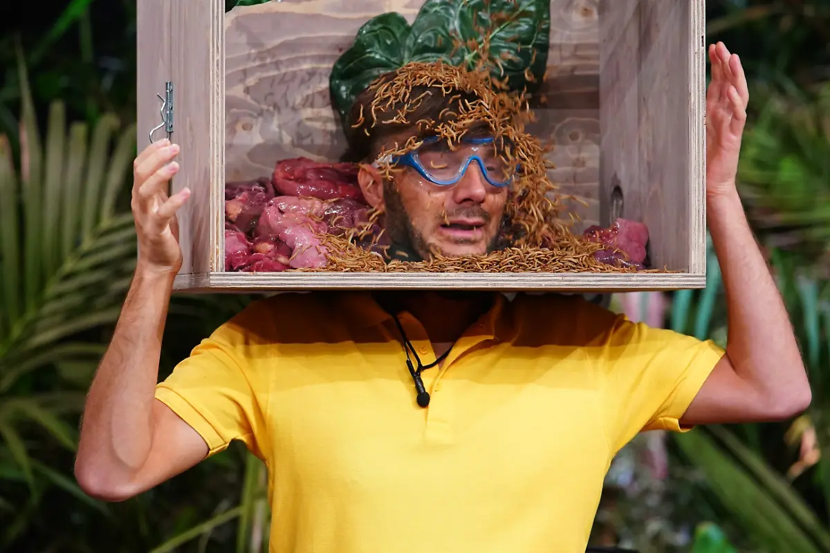 sam-Dylan-Dschungelshow