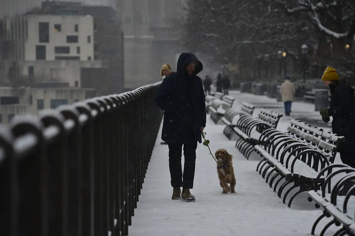 03007514da38890f6be34531eb2c7d11