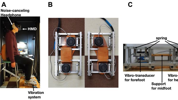 (A) Systemübersicht. (B) Draufsicht auf das Vibrationssystem, bestehend aus vier Vibro-Wandlern. (C) Seitenansicht des Vibrationssystems. Die Schwingungsaufnehmer wurden mit Federn an einem Aluminiumrahmen befestigt, um die Übertragung von Schwingungen zu verhindern.
