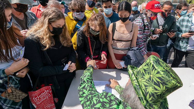 Gras gegen Impfnachweis: Freiwillige hatten zuvor 1500 Marihuana-Kippen gerollt.