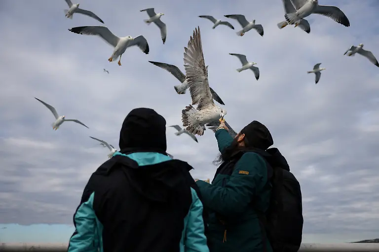 2025-01-03T080114Z-949156320-RC29CBA358JQ-RTRMADP-3-UKRAINE-CRISIS-GREECE-MOUNT-ATHOS