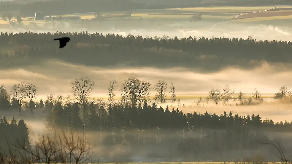 feb6db26602fdd9e46c3d4ab5d1ceca4