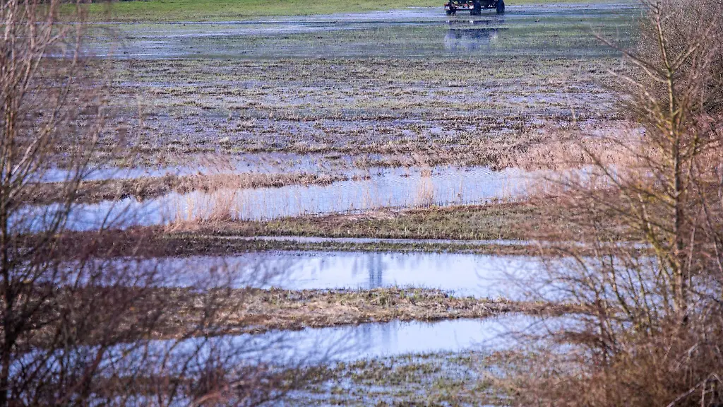 Die-meisten-Pegelstaende-haben-sich-beim-Grundwasser-in-Sachsen-Anhalt-nach-der-Duerre-der-vergangenen-Jahre-erholt