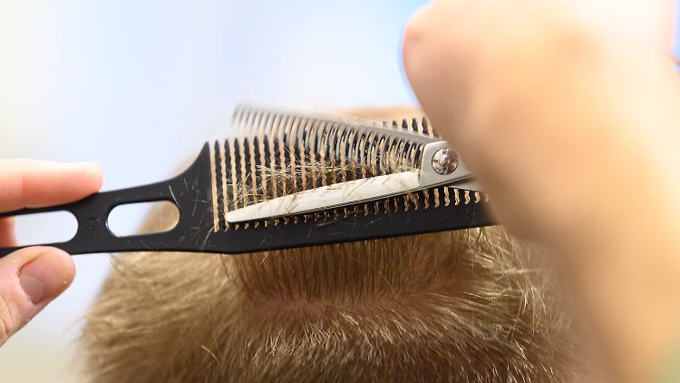 So ziemlich jeder lässt sich irgendwann die Haare schneiden, doch viel Geld gibt es nicht dafür.