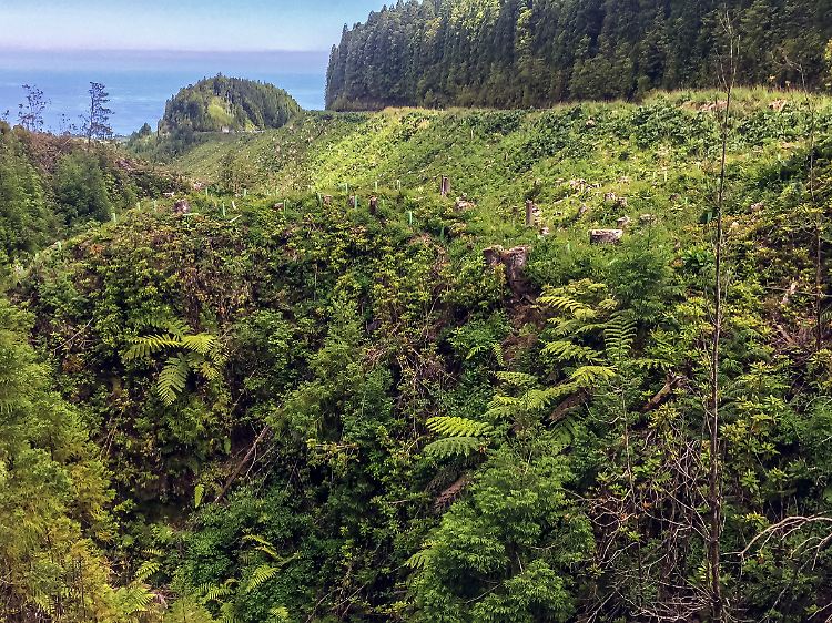 Landschaft bei Sao Miguel auf der Azoren-Insel Achada.